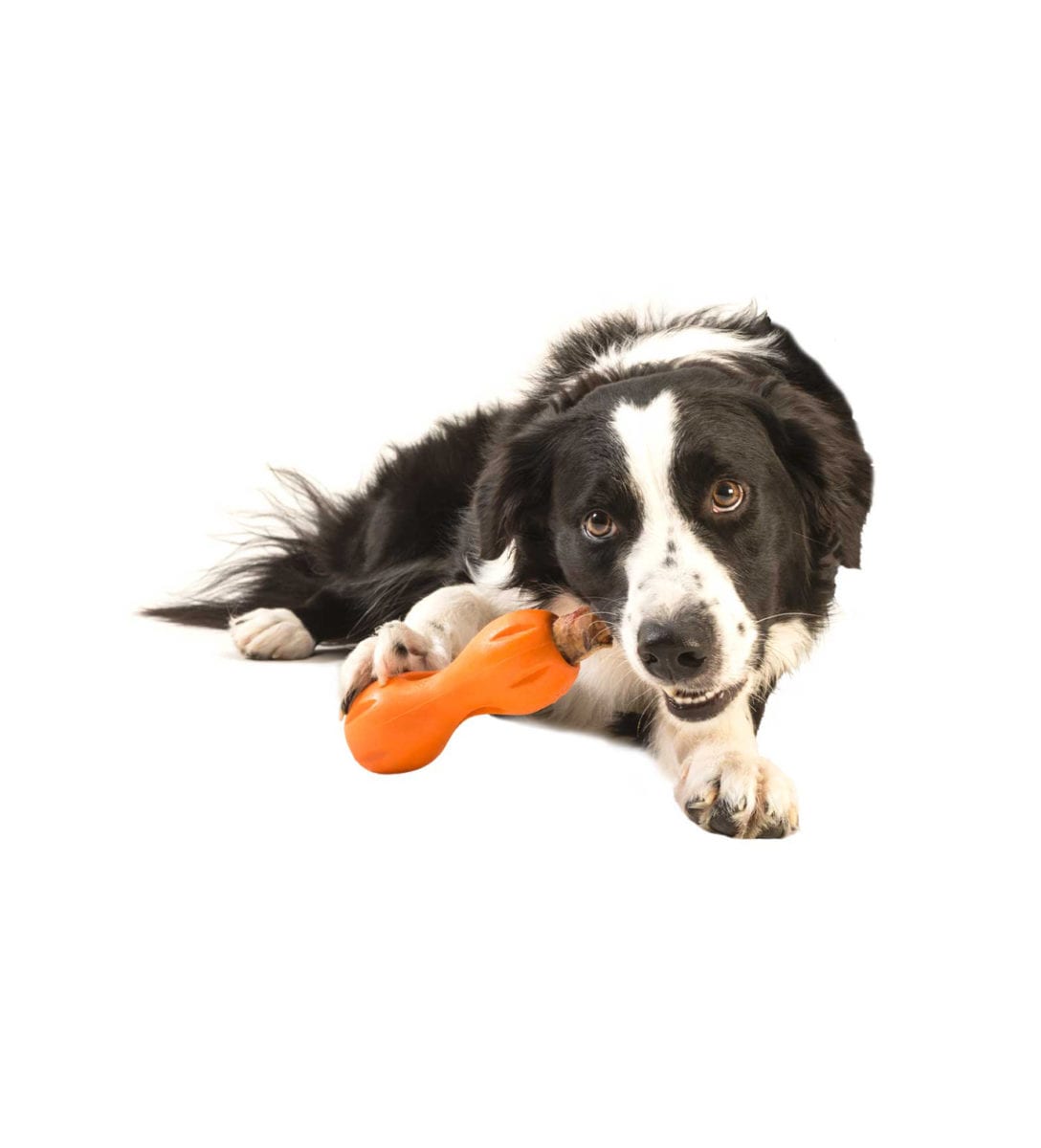 https://mooshiepets.com/content/uploads/2019/01/WEST-PAW-DOG-WITH-QWIZL-TOY-orange-.jpg