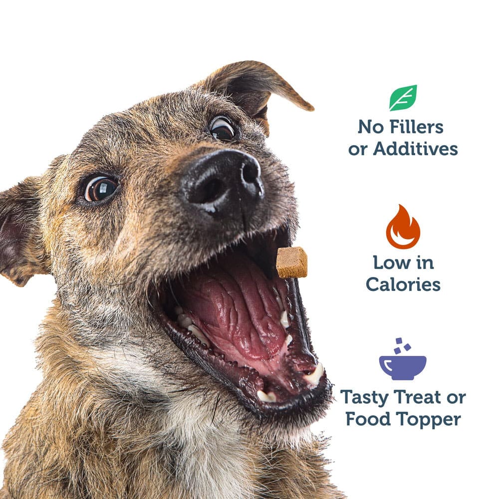 Four Leaf Rover BEEF HEART Freeze-Dried Treats for Dogs