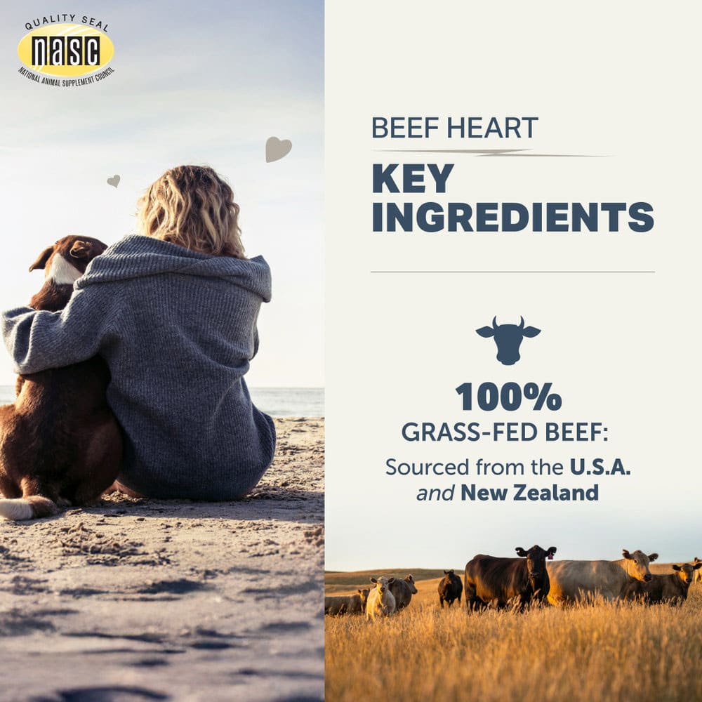 Four Leaf Rover BEEF HEART Freeze-Dried Treats for Dogs
