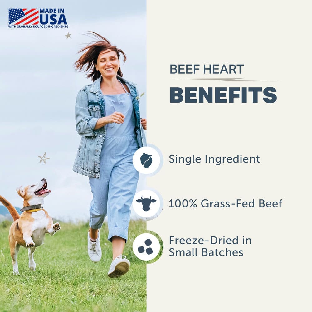 Four Leaf Rover BEEF HEART Freeze-Dried Treats for Dogs